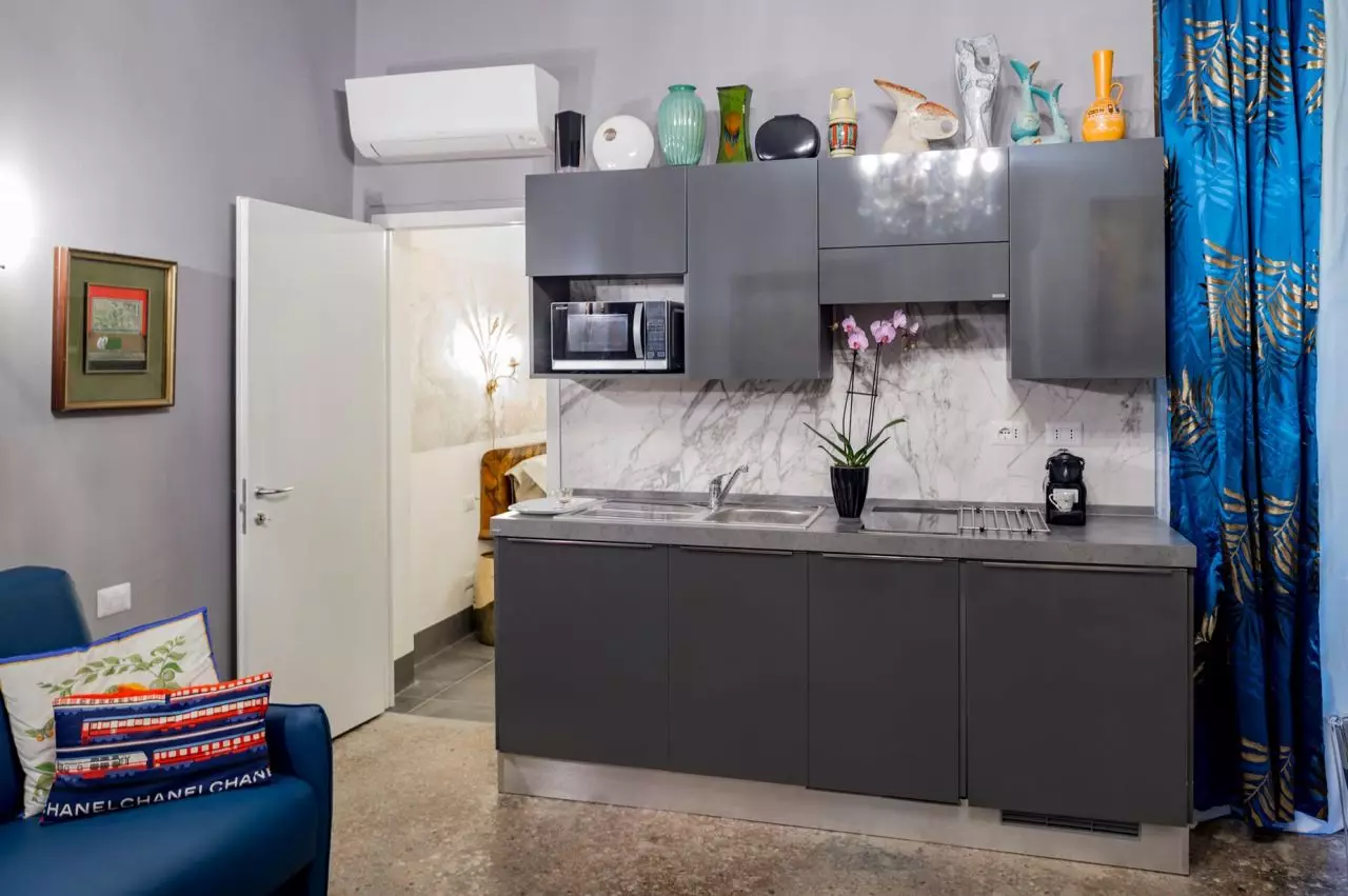 Apartment 801 kitchen