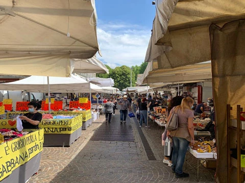Piazzola